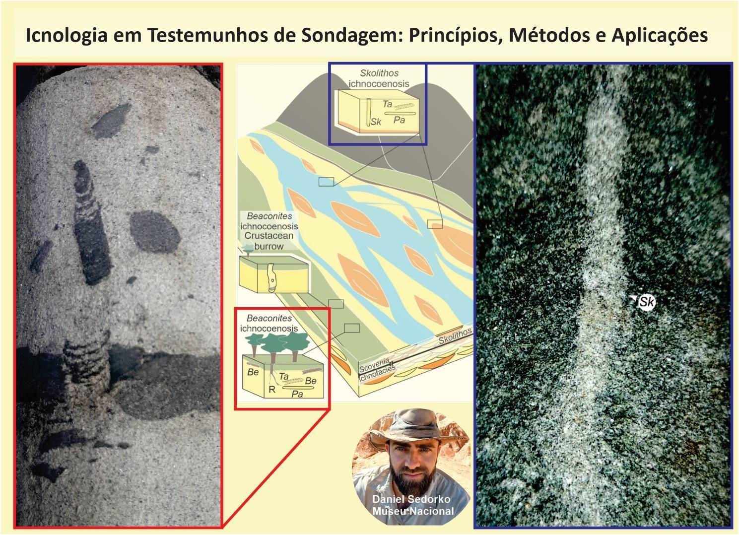 Minicurso de icnologia em testemunhos de sondagem